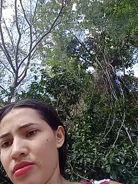 -nicol