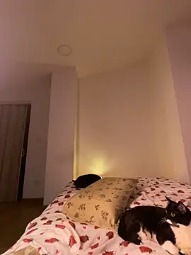 amapola_999