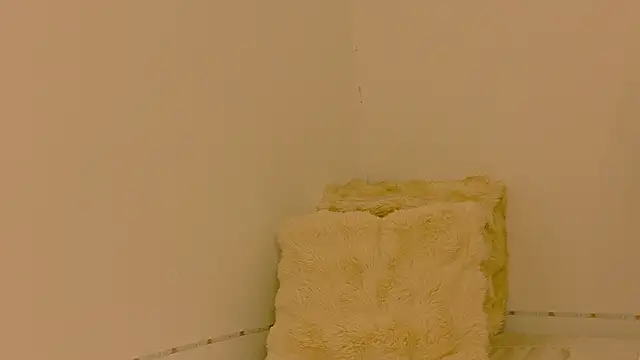 ammellia_
