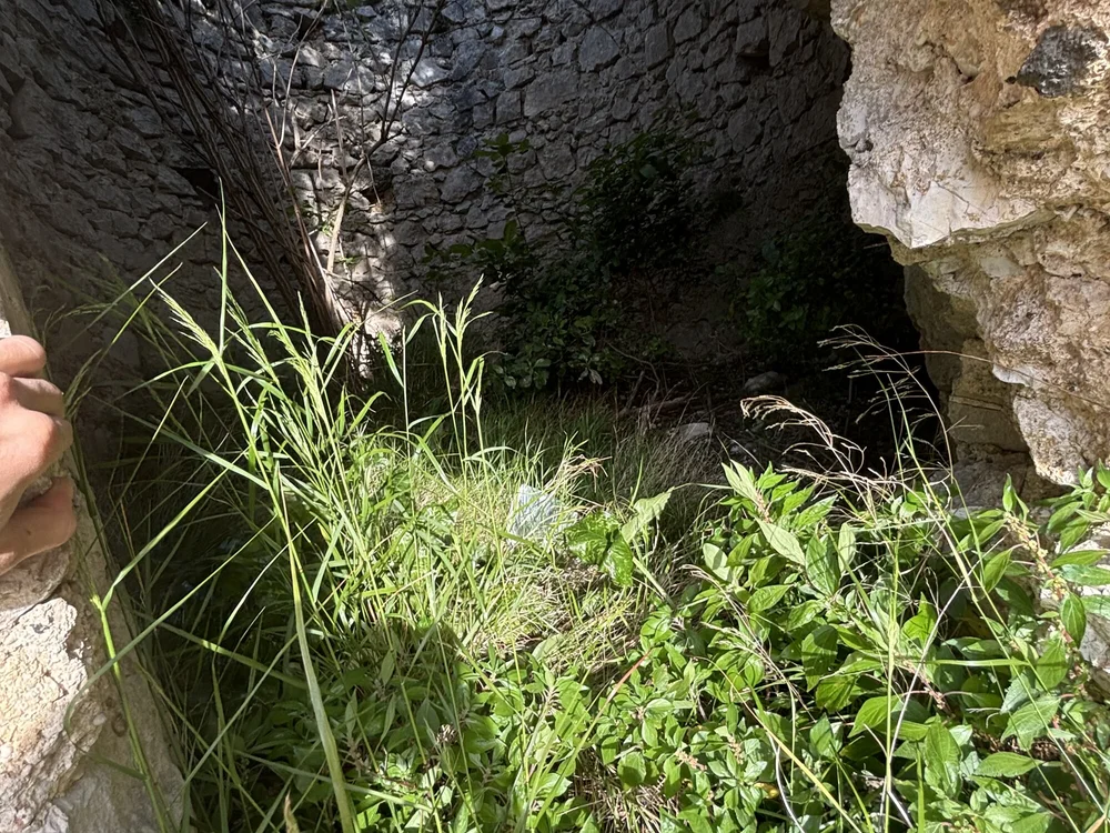 belcazzo02-