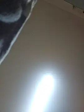cataleya_leya