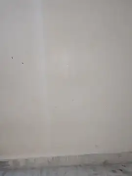 divyahoty
