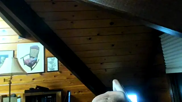 dog-naked