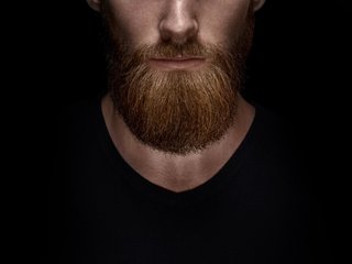 TpaxTopucT-