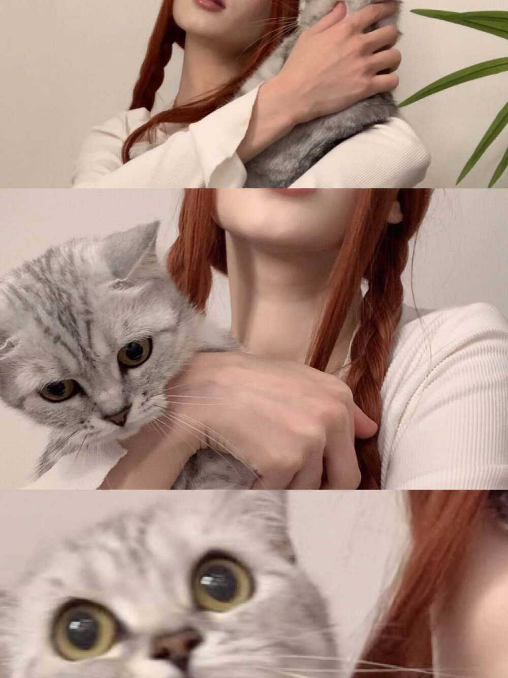 LETTY 🌿home model🌿 Wednesday/Sunday - DAYOFF🌿 Please help me get 60 thumbs up