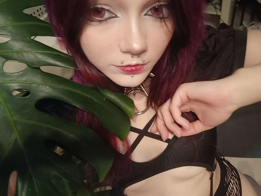 kittieheart