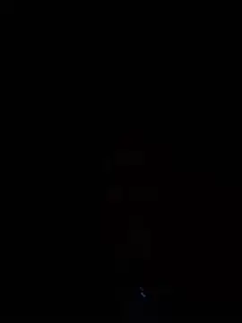 laemma81
