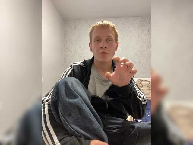 vinsesx