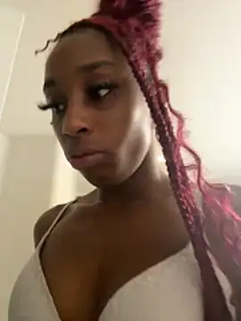 msvelvet20