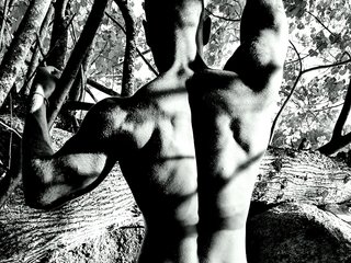 Muskulman