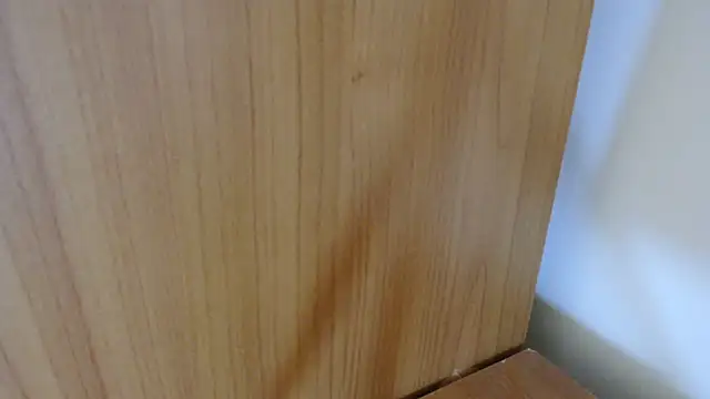 pamela-stripx