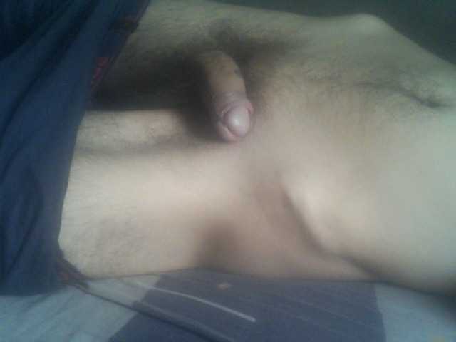 Pauk13