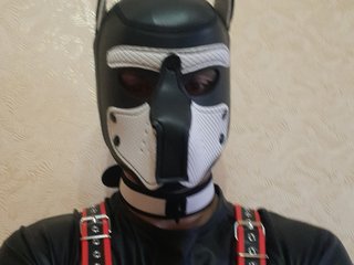 PupMax69