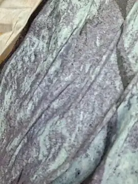 rahaf11