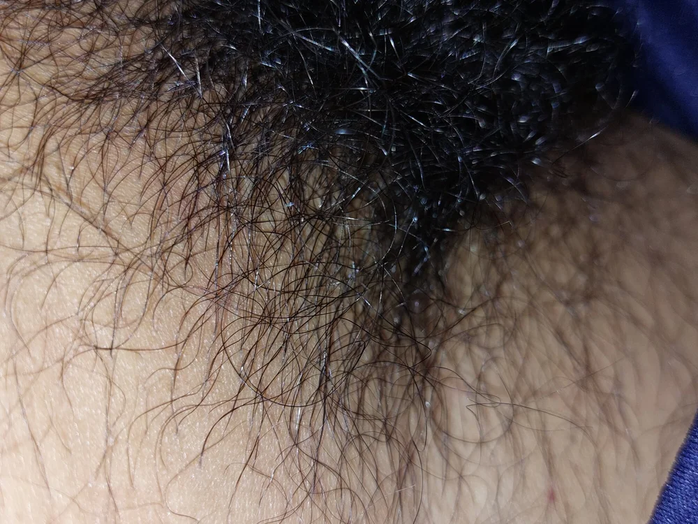 rishi_7_
