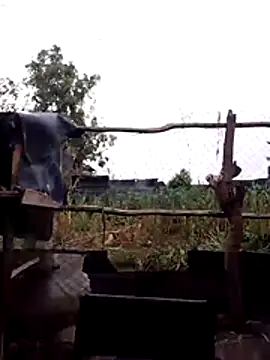 rossamunney