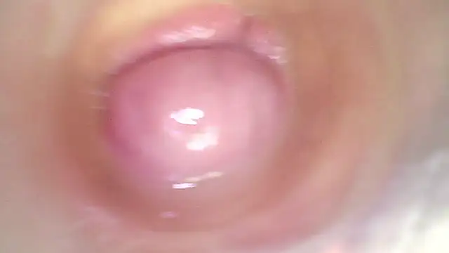 shannon_kinne_