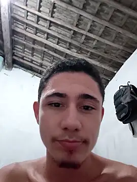 sharkbirdh