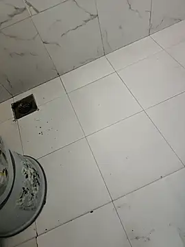 singalguy12