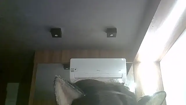 skinnykitten