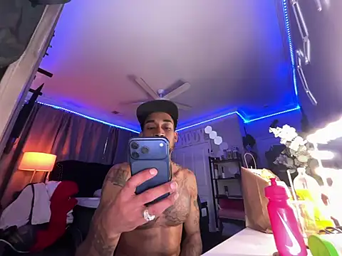 stillarquez