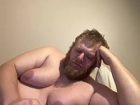 tallbellybear