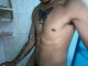 valentino_knox