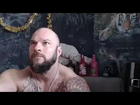 viking_30