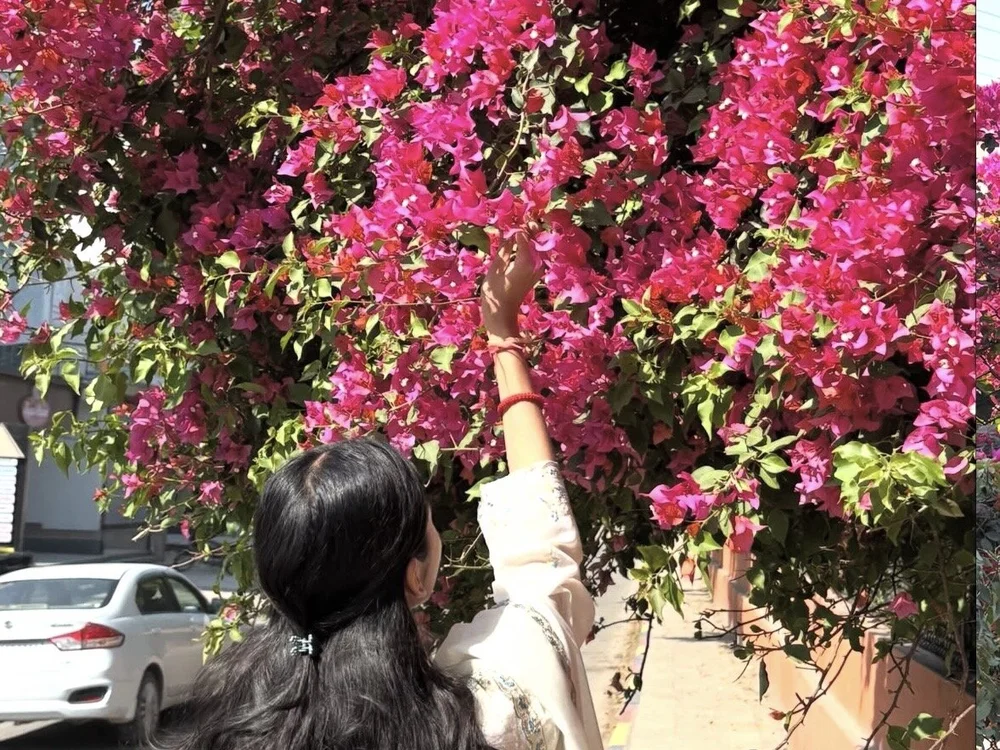 yogita51