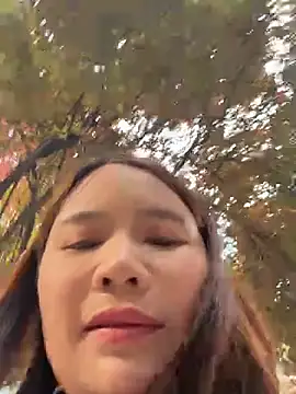 yueyuesse