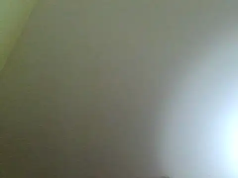 zlyzloba21